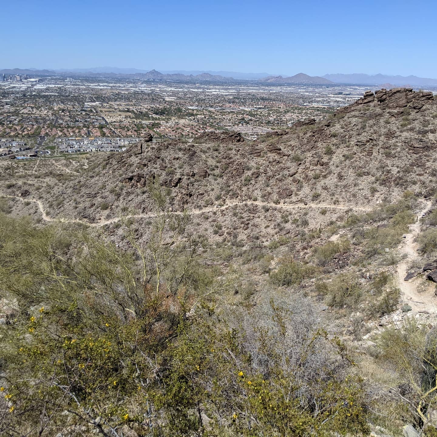 A few random shots from my hike yesterday that I thought people might appreciate. #phoenix